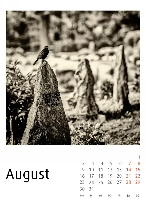 Bergfriedhof Heidelberg Kalender 2027 - Frank Schindelbeck Fotografie