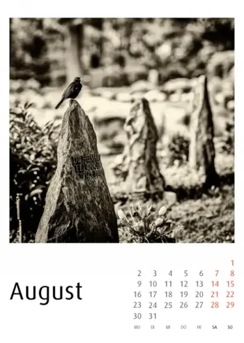Bergfriedhof Heidelberg Kalender 2027 - Frank Schindelbeck Fotografie