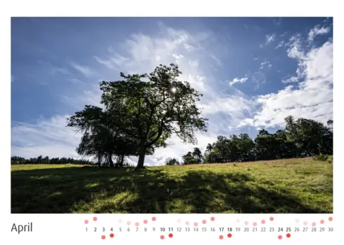 Odenwald Fotokalender - Frank Schindelbeck Fotografie